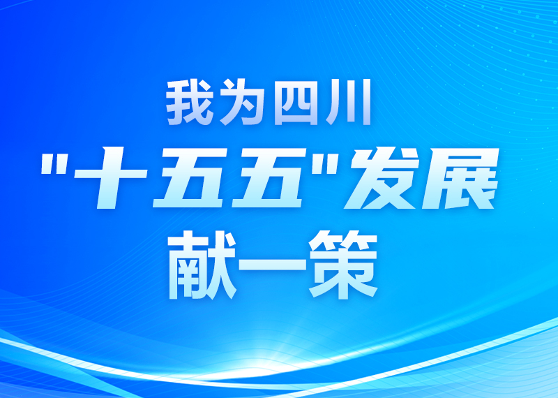 关于公开征集对四川省“十五五”时期经济社会发展意见建议的公告